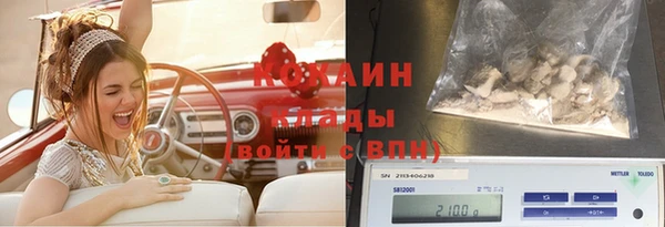 круглые Карпинск