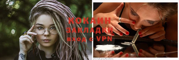 кокс Касимов