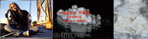 кокс Касимов