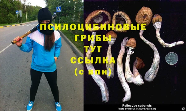 круглые Карпинск