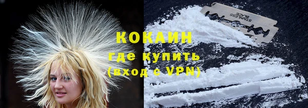кокс Касимов