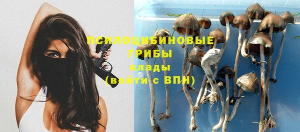 кокс Касимов