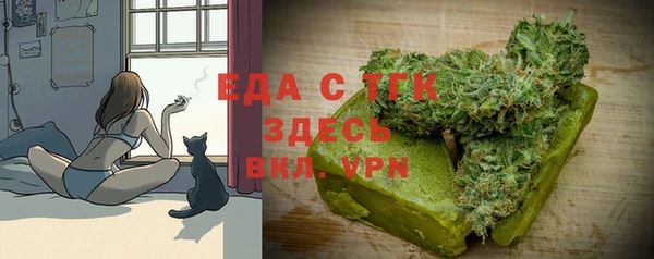 кокс Касимов