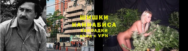 круглые Карпинск