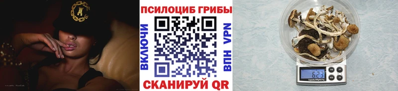 Купить где  Вытегра  Псилоцибиновые грибы MAGIC MUSHROOMS 
