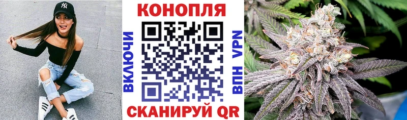 Купить где  Вытегра  Канабис планчик 